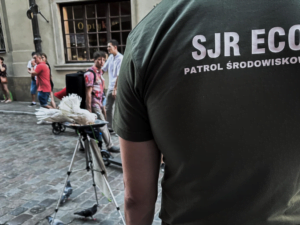 Patrol Eko zatrzymał recydywistę za znęcanie się nad zwierzętami