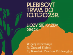 Dąb