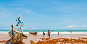 fot. materiały prasowe