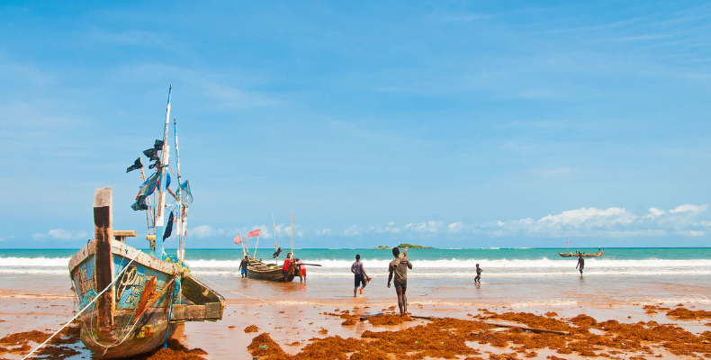 fot. materiały prasowe