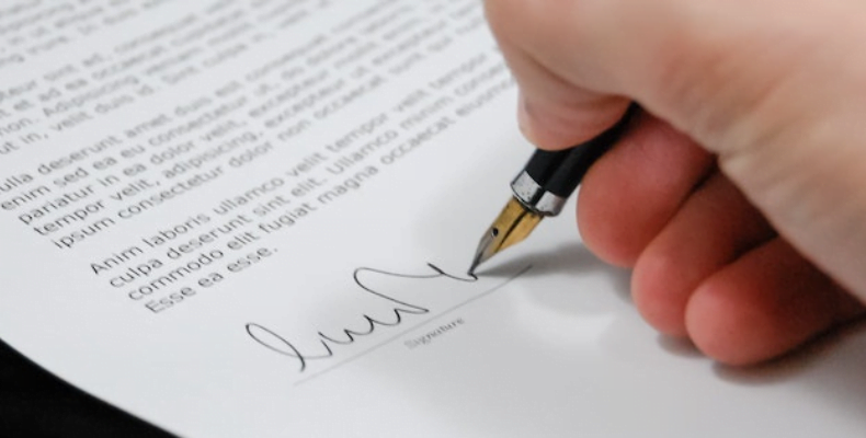 fot. materiał sponsorowany