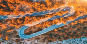 MATERIAŁ SPONSOROWANY