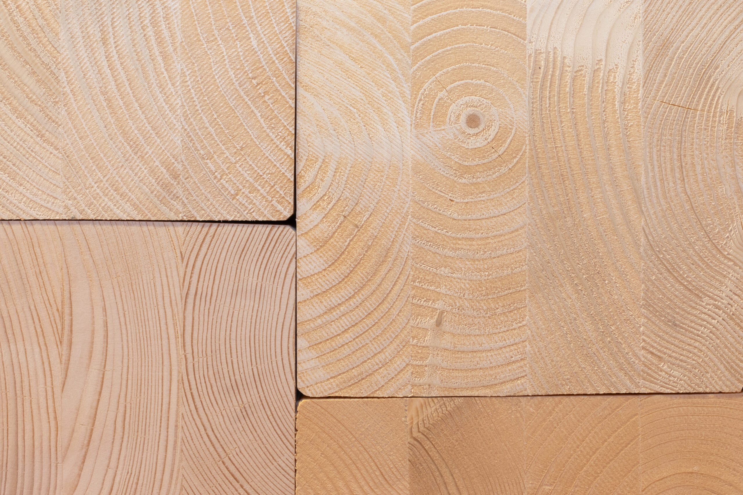 przekrój drewna klejonego bsh