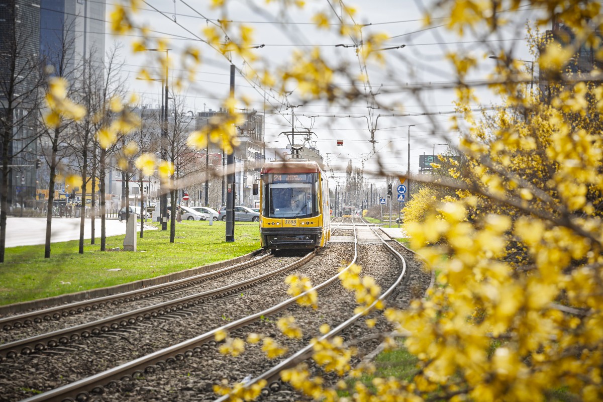 Utrudnienia na Pradze-Południe: Zmiany w kursowaniu tramwajów i brak wjazdu w Międzyborską